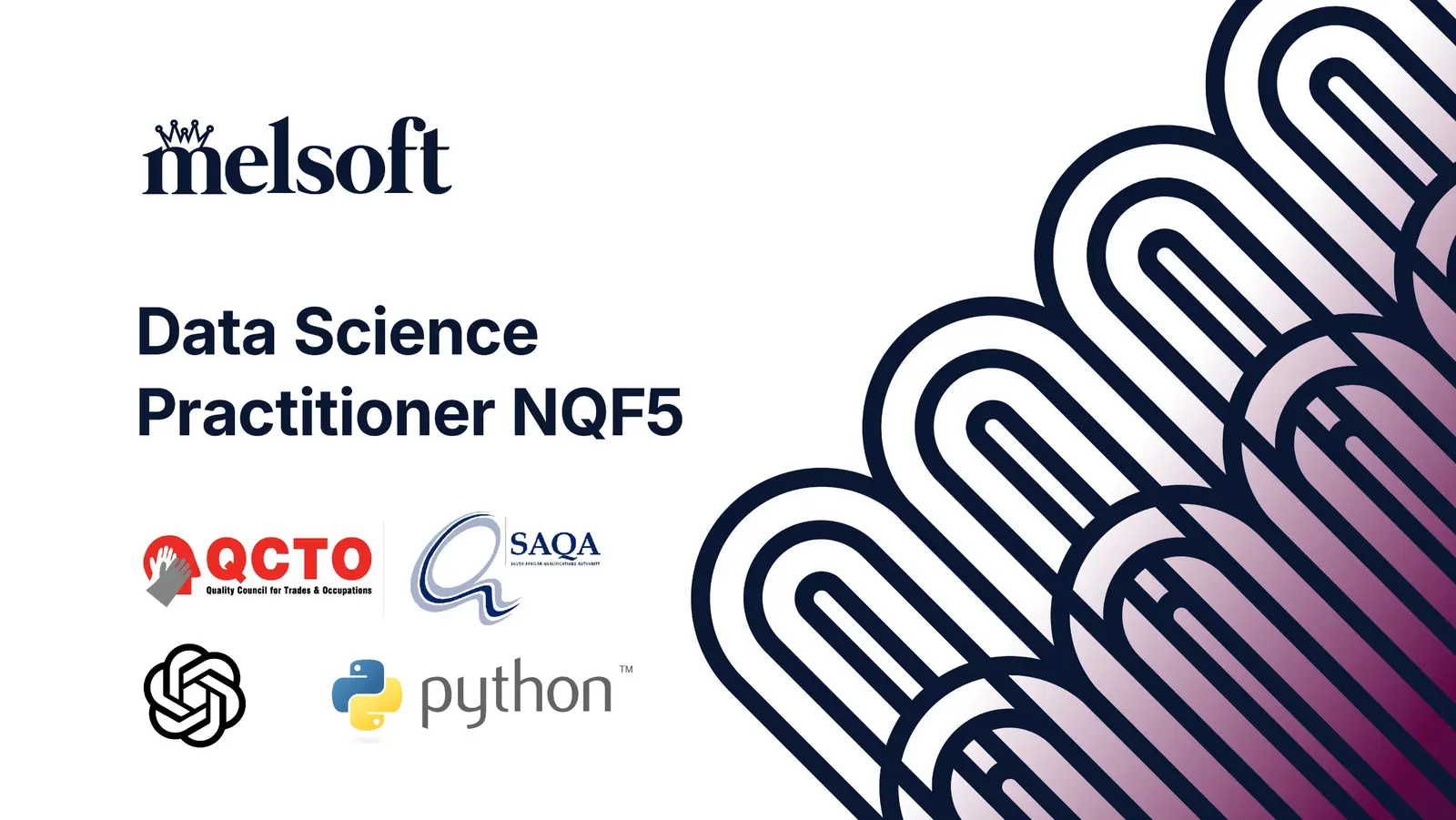 Data Science Practitioner