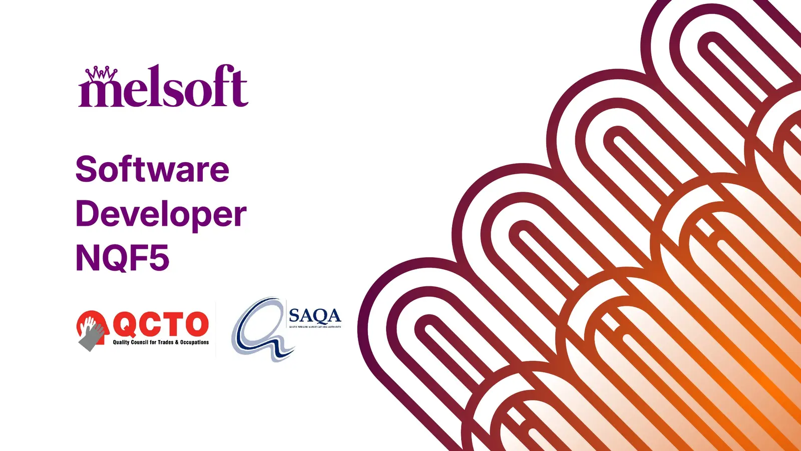 Software Developer